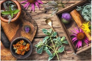 Healing Through Herbs
