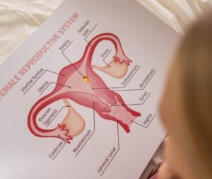 female reproductive organ hystrectomy causes